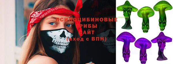 mix Козельск