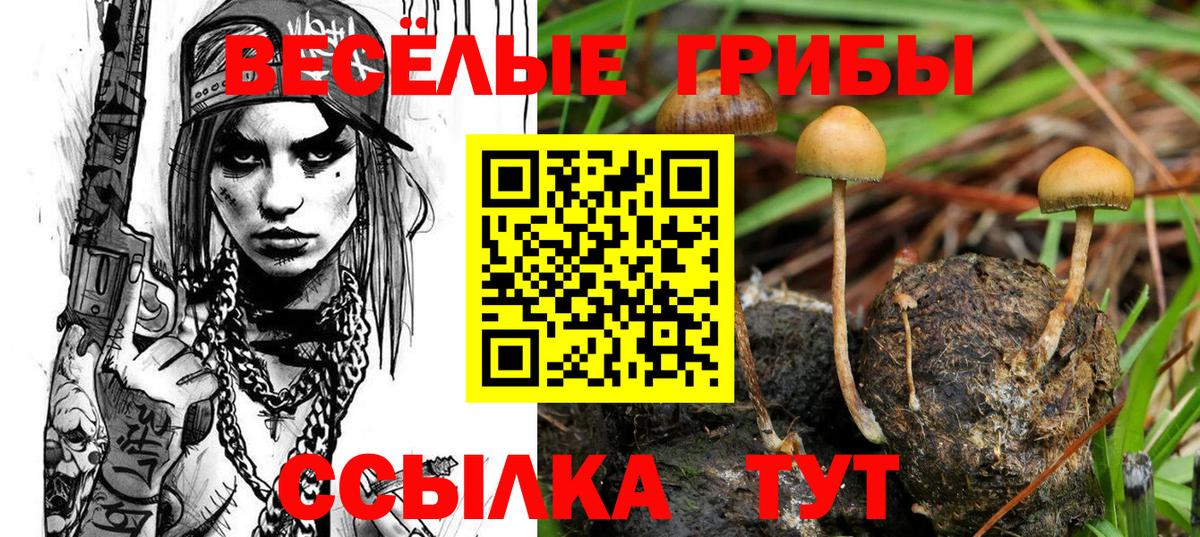 Галлюциногенные грибы MAGIC MUSHROOMS  Вход с VPN  Медногорск 