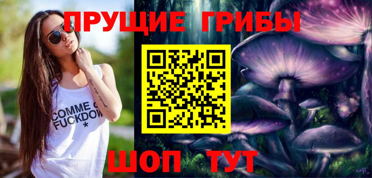 Псилоцибиновые грибы Psilocybe Медногорск